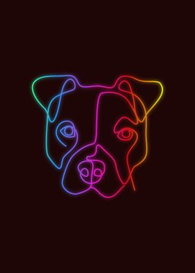 American Pitbull dog Neon