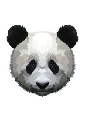 Panda head on a white