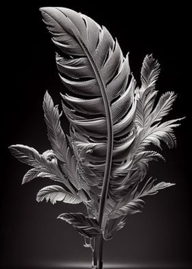 crystal feather