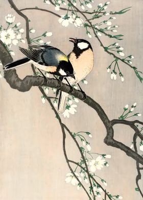 Ukiyo e Birds on plum tree