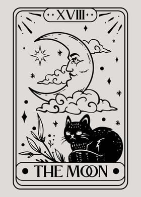 cat and the moon 