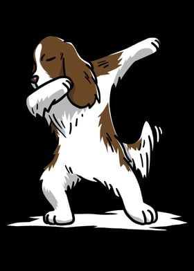 English Springer Dabbing