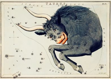 Taurus Chart