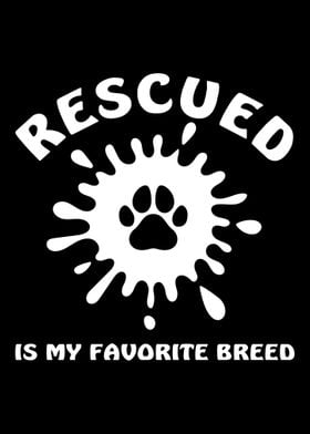 Animal rescue animal right