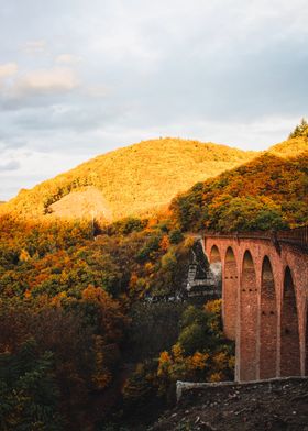 Autumn forest and bridge