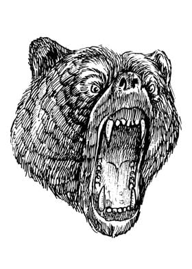 Bear head