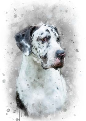 Great Dane watercolor