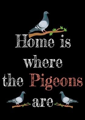 Homing Pigeons Gift Men