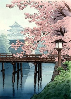 Ukiyo e cherry blossom