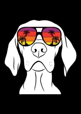 Retro Weimaraner Sunglasse