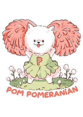 Pom Pomeranian