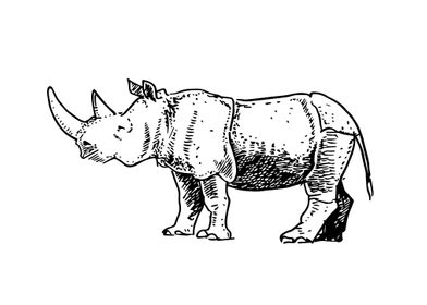 Hand drawn rhino