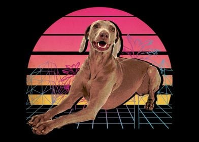 Retro Weimaraner