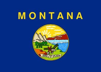 Montana State Flag