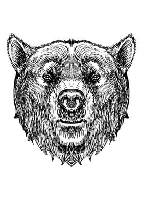 Bear head