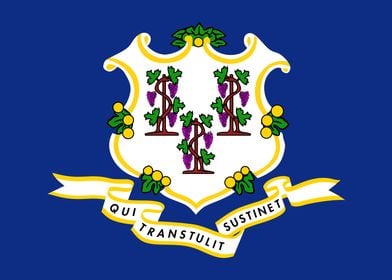 Connecticut State Flag