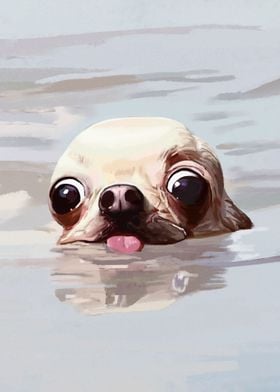 Swimming Chihuahua Meme