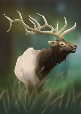 Great Elk