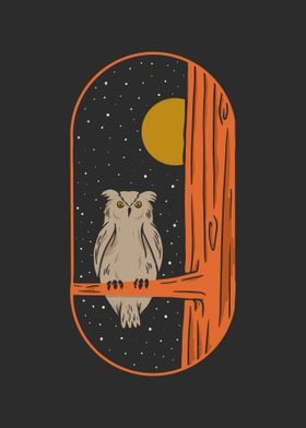Owl on The Full Moon