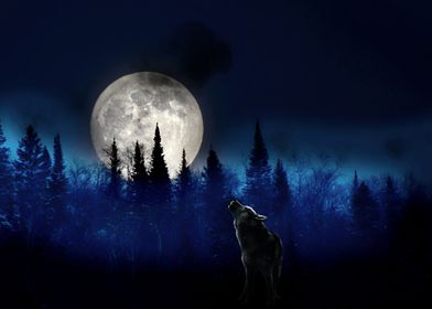 wolf and moon