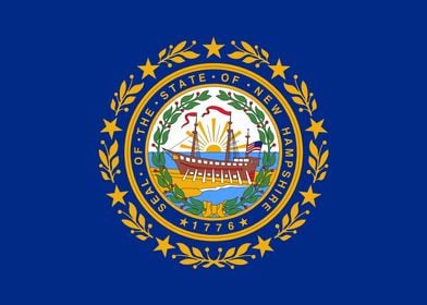 New Hampshire State Flag