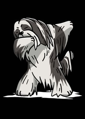 Lhasa Apso Dabbing 