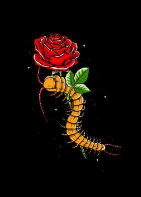 Centipede and rose