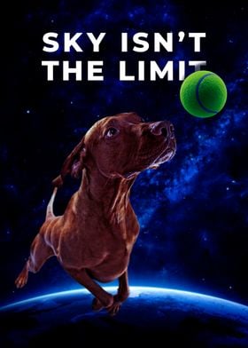 Dog Chasing Ball in Space