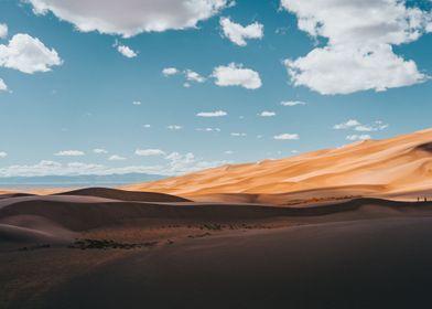 desert