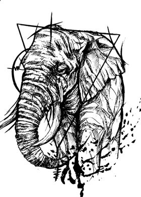 elephant 