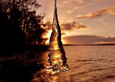 Icicle in sunset