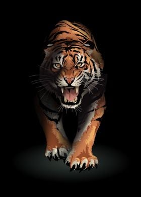 Roaring tiger walking