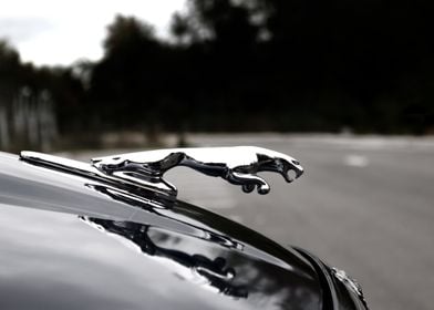 Iconic Jaguar Symbol