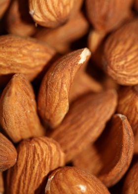 Dry fruit almonds close up