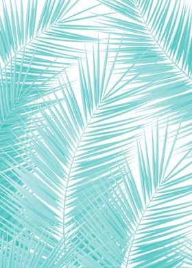 Soft Turquoise Palm Leaves