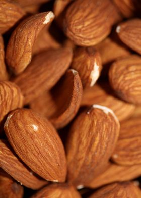 Dry fruit almonds close up