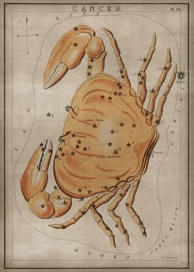 Cancer Constellation