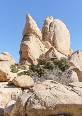 Joshua Tree National Park