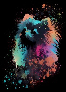 Pomeranian Colorful Zwergs