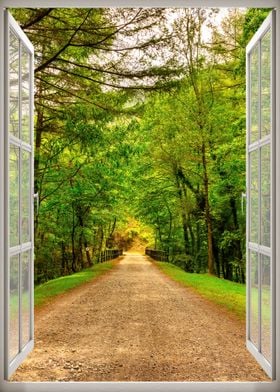 Window view road forest