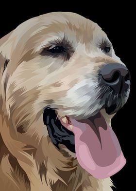 Golden retriever in vector