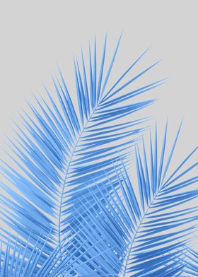 Blue Silver Gray Palm 1