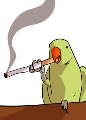 smoking bird