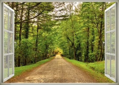 Window view road forest