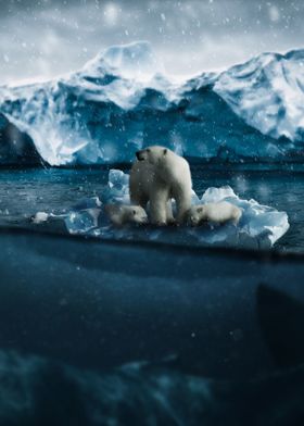 Polar bears