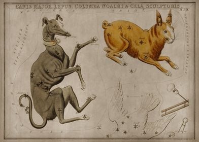 Canis Major Lepus Columb