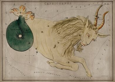 Capricorn Constellation