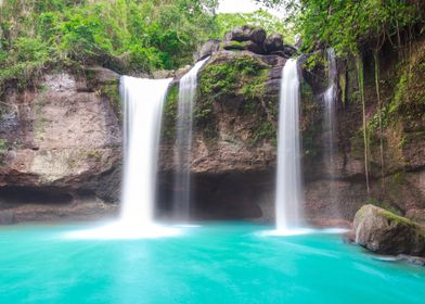 Forest Waterfall Nature