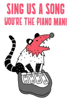 Funny Piano Opossum