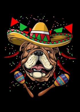 Cinco De Mayo Bulldog